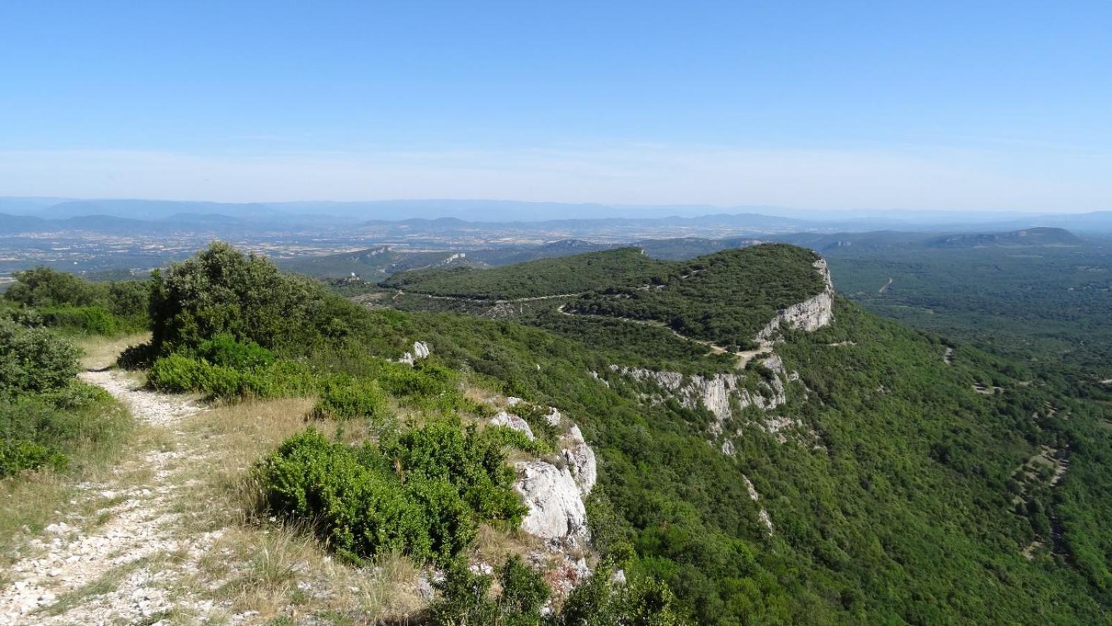 Logis Dans Ancien Relais De Poste Διαμέρισμα Saint Julien Les Rosiers Εξωτερικό φωτογραφία